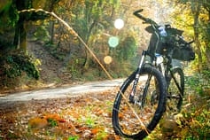 bike in jungle